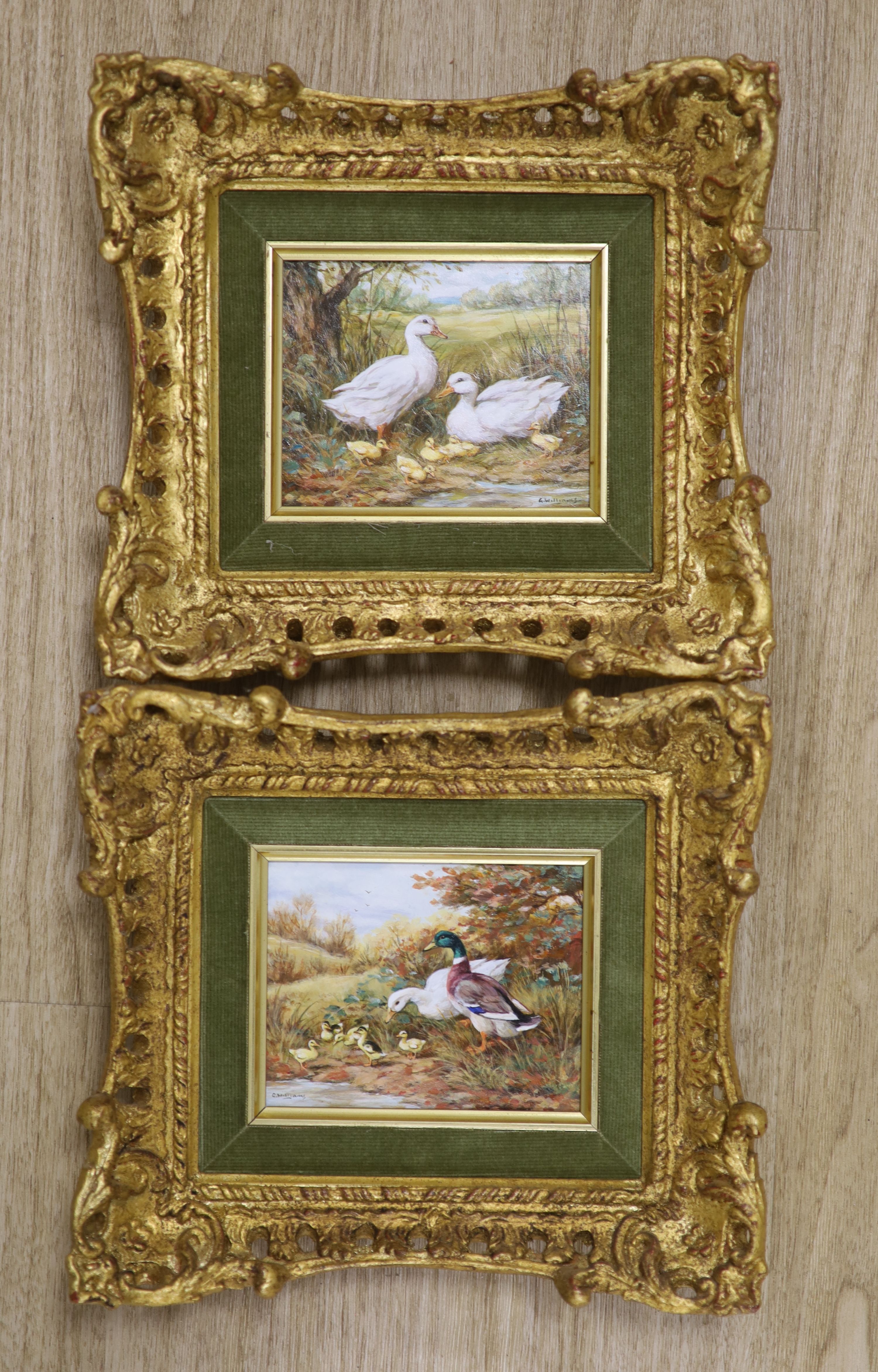 G. Williams, pair of oils on panel, Ducks and ducklings, signed, 10 x 12cm